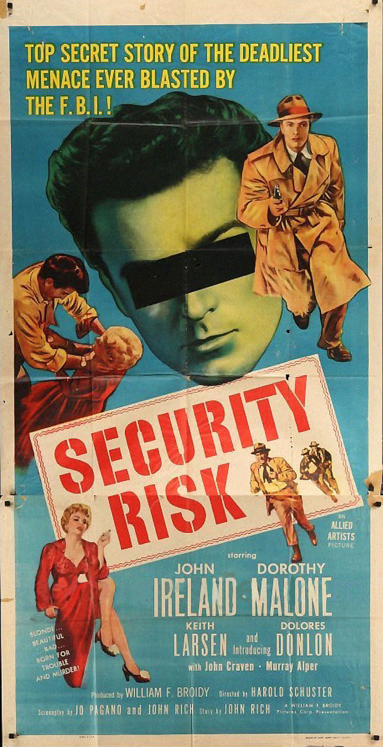 SECURITY RISK